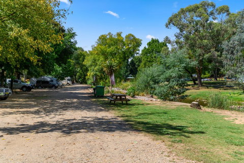 Bright Riverside Holiday Park - Accommodation Sunshine Coast 19