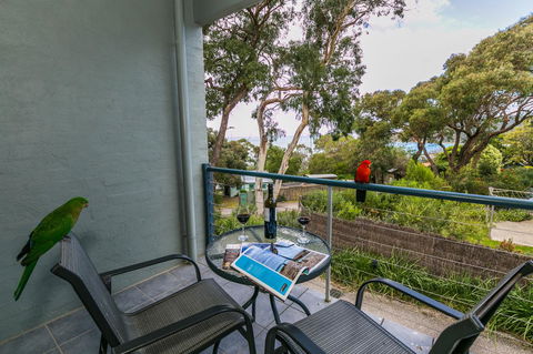Lorne Surf Apartments - Accommodation Sunshine Coast 21
