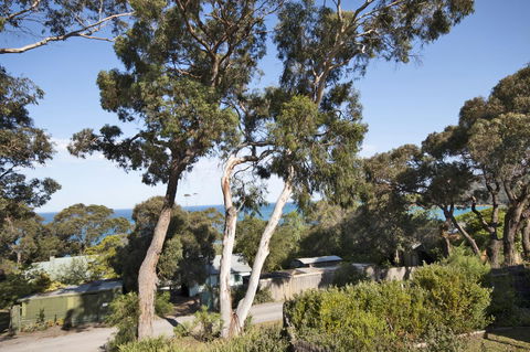 Lorne Surf Apartments - Accommodation Sunshine Coast 11