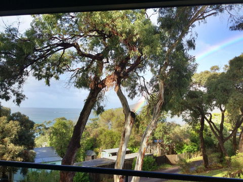 Lorne Surf Apartments - Accommodation Sunshine Coast 4