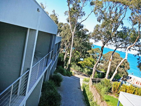 Lorne Surf Apartments - Accommodation Sunshine Coast 10