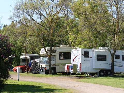 Tasman Holiday Parks - Geelong - Accommodation Sunshine Coast 21