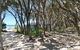 Blairgowrie Bella - Light Filled Home With Great Deck - thumb 12