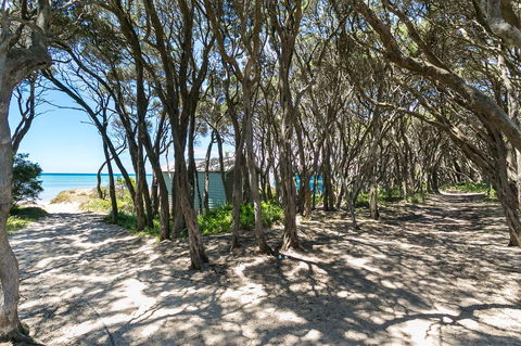 Blairgowrie Bella - Light Filled Home With Great Deck - Accommodation Sunshine Coast 12