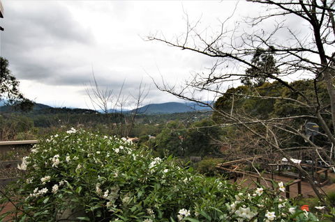 Hamptons In Healesville - Accommodation Sunshine Coast 13