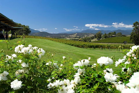 Balgownie Estate Yarra Valley - Accommodation Sunshine Coast 36