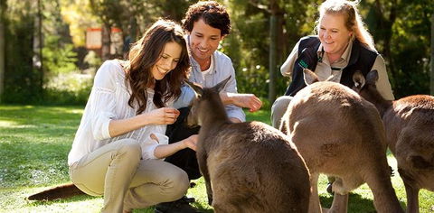 Balgownie Estate Yarra Valley - Accommodation Sunshine Coast 10