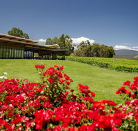 Balgownie Estate Vineyard Resort  Spa - Accommodation Sunshine Coast