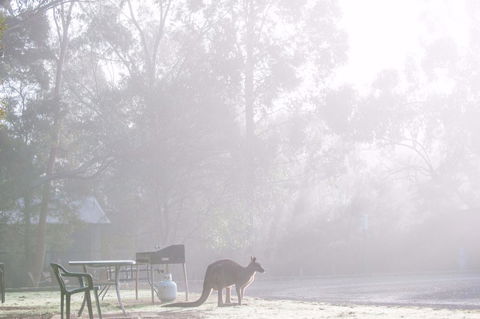 Gariwerd Motel - Accommodation Sunshine Coast 18