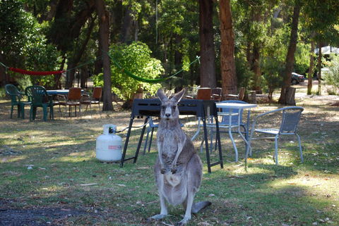 Gariwerd Motel - Accommodation Sunshine Coast 26