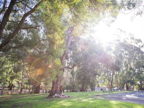 Gariwerd Motel - Accommodation Sunshine Coast 7