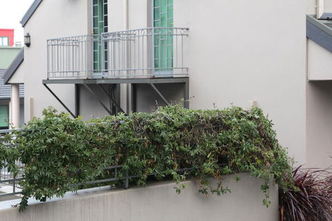 Quality Inn & Suites The Menzies - Accommodation Sunshine Coast 23