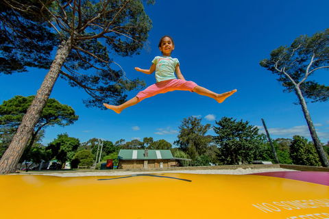 BIG4 Castlemaine Gardens - Accommodation Sunshine Coast 21