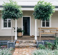 Acre of Roses - Accommodation Sunshine Coast