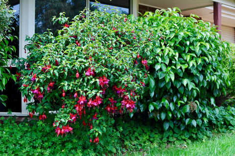 Crimea Retreat - Accommodation Sunshine Coast 18