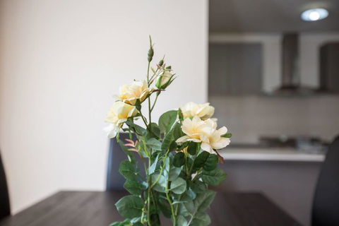Holiday Rose - Accommodation Sunshine Coast 8