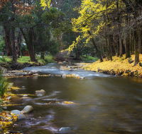 Goldfield Holiday Units - Accommodation Sunshine Coast