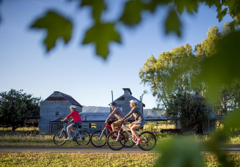 Goldfield Holiday Units - Accommodation Sunshine Coast 32