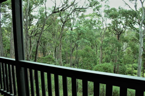 Tangenong Cottages - Accommodation Sunshine Coast 12