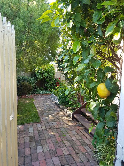 Healesville House - Fig Tree House - Accommodation Sunshine Coast 17