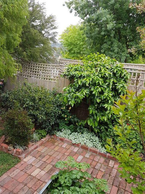 Healesville House - Fig Tree House - Accommodation Sunshine Coast 21