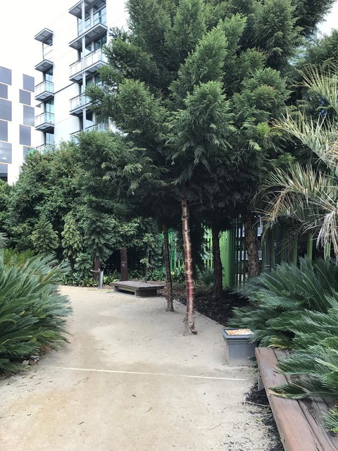 Docklands Private Collection - City Harbour Apartments - Accommodation Sunshine Coast 35