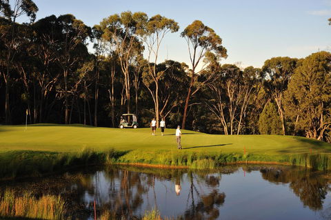 RACV Goldfields Resort - Accommodation Sunshine Coast 31