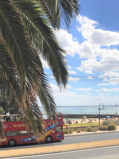 Beach Front Beauty - Accommodation Sunshine Coast 23