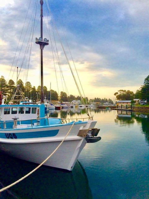 The Waterfront Apartment - Accommodation Sunshine Coast 14