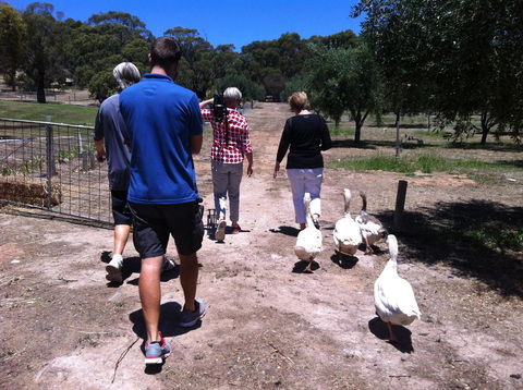 The Farm Willunga - Accommodation Sunshine Coast 1