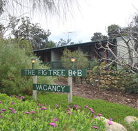 The Fig Tree BB - Accommodation Sunshine Coast