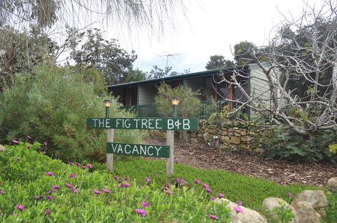 The Fig Tree B&B - Accommodation Sunshine Coast 0