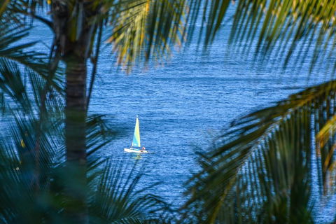 The Palms On Hamilton Island - Accommodation Sunshine Coast 2