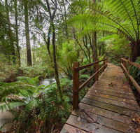 The Source Otways - Accommodation Sunshine Coast