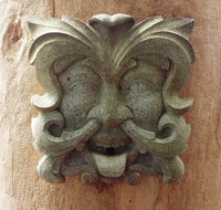 The Tree House - Accommodation Sunshine Coast