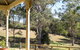 The Willows At Kurrajong - thumb 1