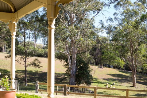 The Willows At Kurrajong - Accommodation Sunshine Coast 1