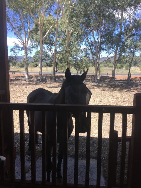 Thie My Chree Retreat - Accommodation Sunshine Coast 3