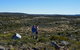 Thousand Lakes Lodge - thumb 3