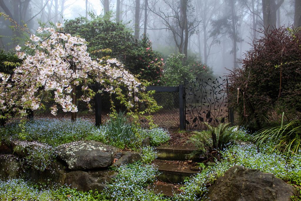 Mount Tomah NSW Accommodation Sunshine Coast