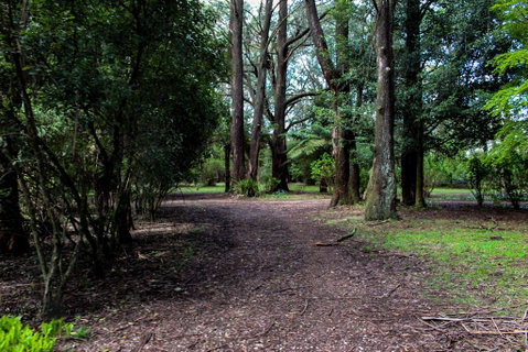 Tomah Retreat - Relax & Heal At UNWIND - Accommodation Sunshine Coast 1