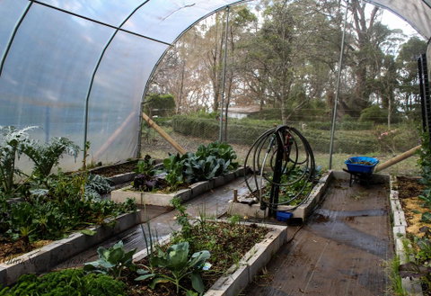 Tomah Retreat - Relax With Studio BREATHE - Accommodation Sunshine Coast 2