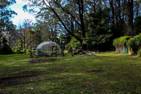 Tomah Retreat - Relax With Studio BREATHE - Accommodation Sunshine Coast 1