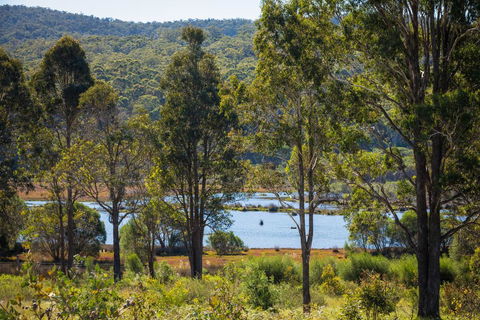 Top Of The Lake Holiday Units - Accommodation Sunshine Coast 1