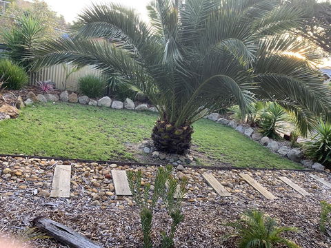 Torquoise Waters - Bed & Breakfast - Accommodation Sunshine Coast 1