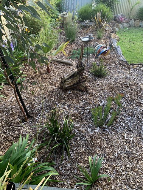 Torquoise Waters - Bed & Breakfast - Accommodation Sunshine Coast 2