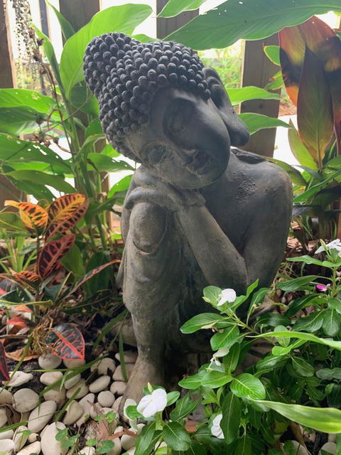 Tranquil Spa Retreat - Accommodation Sunshine Coast 3