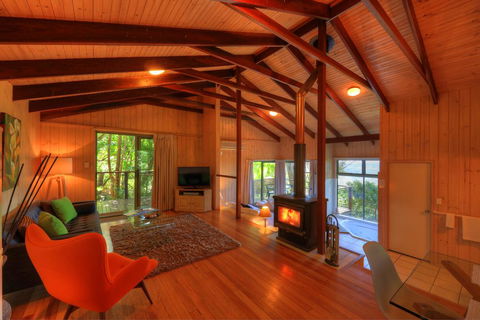 Treetops Seaview Montville - Accommodation Sunshine Coast 2
