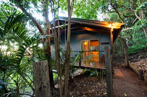 Treetops Seaview Montville - Accommodation Sunshine Coast 0