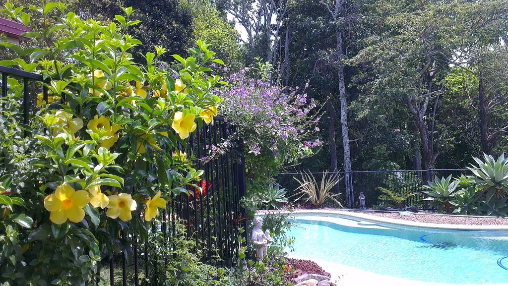 Duranbah NSW Accommodation Sunshine Coast